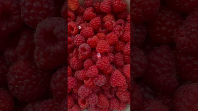 подписывайся!  study уроки studywithme делаюуроки учеба огэ егэ егэ2023 егэ2024 каникулы