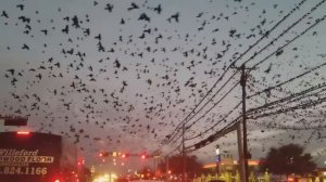 Катаклизмы в Феврале 2018