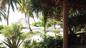 ПЛЯЖИ ЗАНЗИБАРА| Пляж PONGWE (ПОНГВЕ). Обзор региона, отелей, отливы и приливы