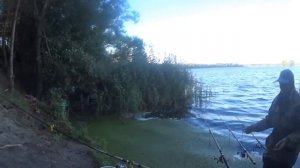 ВОТ ОТ ЧЕГО ДУРЕЕТ РЫБА /1 КАПЛЯ на рыбалке на карася, карпа, леща. Супер рыболовная насадка.Наживк