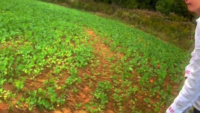 ГИСЫ | ПЕРВОКУРСНИК ГЕО 2023 смотреть онлайн