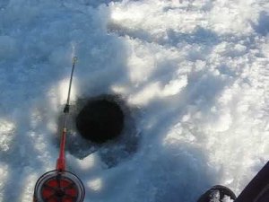 Зимняя рыбалка на окуня на реке Волге.