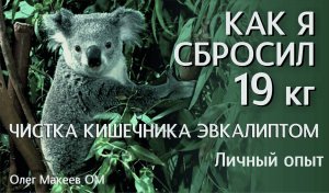 КАК СБРОСИТЬ 19 КГ ЧИСТКА КИШЕЧНИКА ЭВКАЛИПТОМ Олег Макеев ОМ