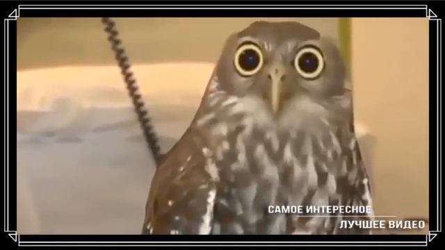 Работа в офисе. Комментирует Николай Дроздов.