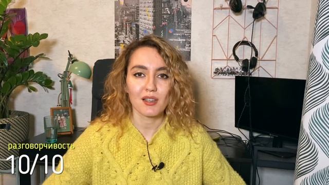 Обзор на кота Пряника / кот породы корниш рекс