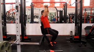 КАК ТРЕНИРОВАТЬ ДЕЛЬТЫ - комплекс сидя. Лучшие упражнения с резинками.