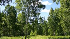 НА ЭТОЙ ОГРОМНОЙ ПЛАНЕТЕ-(Ирина Отиева)