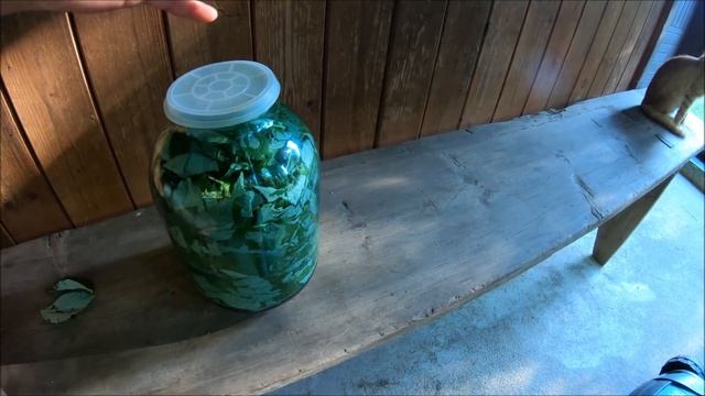 Делаем чай из листьев малины. // Жизнь на хуторе смотреть онлайн