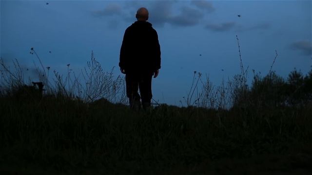 автопортрет с майскими жуками neat video 202323 смотреть онлайн