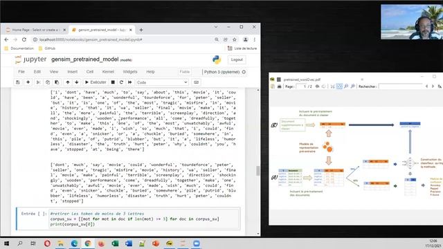Text Mining - Modèle pré-entraîné avec Word2Vec / Gensim - Python смотреть онлайн