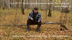 Нож НР-43 "Вишня" для добивания зверя. Русский булат отзыв