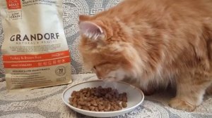 Сухой корм для стерилизованных кошек Грандорф "Индейка и бурый рис"