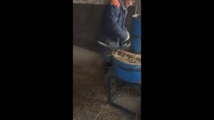 Компост, субстрат для шампиньонов! Подготовка