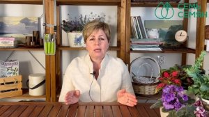 Сорта роз, которые рекомендует Лариса Зарубина!