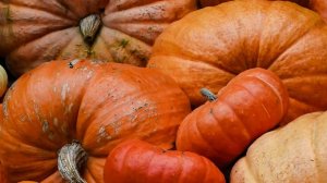 Тыква из ЗЕФИРА в МАРМЕЛАДЕ 🎃 Рецепт Мармелада от @malinovka_tort