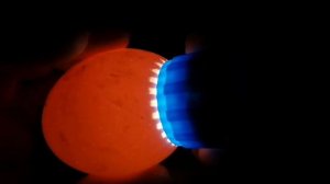 Овоскопирование куриных яиц на 5 день.