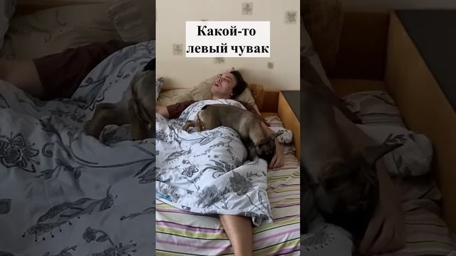 Как просыпаются разные люди в начале года