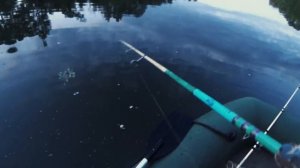 Рыбалка на Проне, Июнь 2018, Рязанская область.