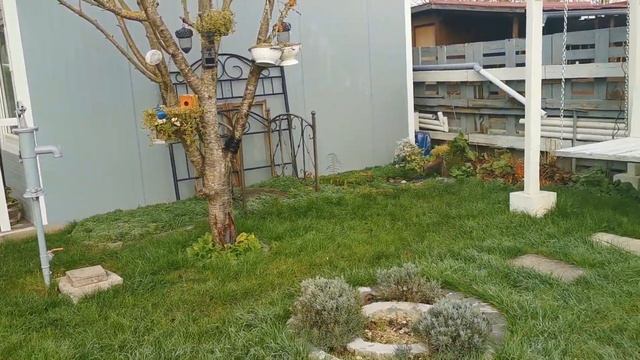 ДАЧА В ГЕРМАНИИ !ЧТО ЖЕ ТЕПЕРЬ БУДЕТ? ?♀️ смотреть онлайн