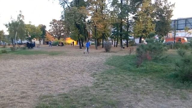 9 октября 2016 г.(7) смотреть онлайн