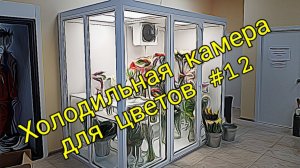 Холодильная камера для цветов 12