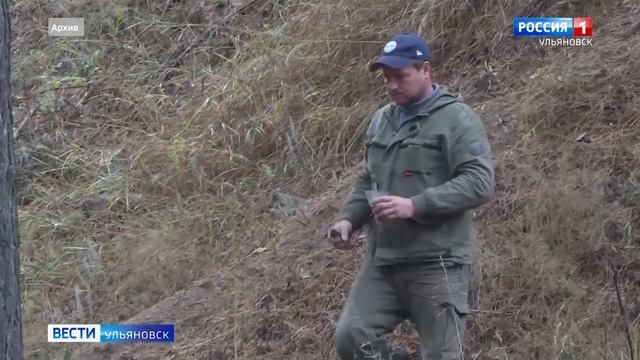 В Ульяновской области начинается обработка лесов от шелкопряда