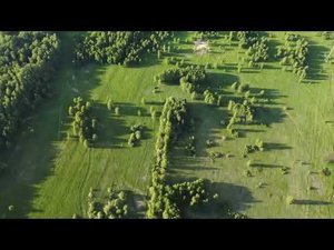 Дронино, где нашли метеориты, Рязанская область. Панорама с дрона.