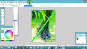 Как сделать прозрачный слой на фото при помощи Paint.net.