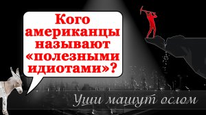 Кого американцы называют «полезными идиотами»?