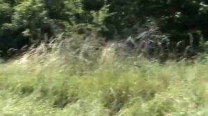 Лысая гора - Смотровая площадка  -2021.