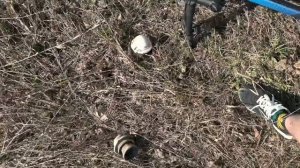 На охоте. Нашли изоляторы Шд-6. Влог поездки.