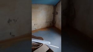 Как избавиться от грибка в частном доме.
