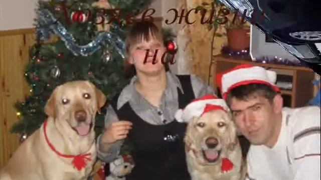 Вновь проснусь. Мои философские размышления смотреть онлайн