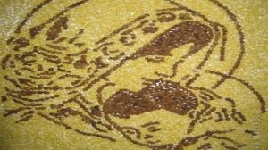 Картины Из Крупы Своими Руками Из Гречки