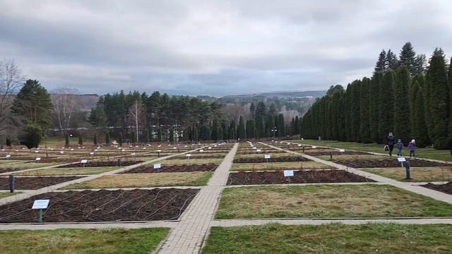 А вы были в долине роз Кисловодска? Долина или Аллея роз. Кисловодский национальный парк. смотреть онлайн