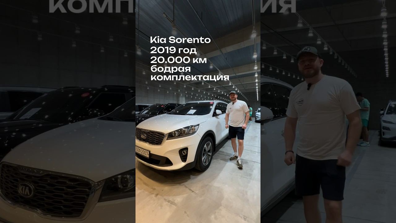 Сколько стоит пригнать Kia Sorento? #александравтознахаръ