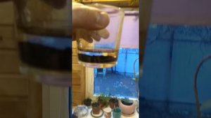 сивушные масла!