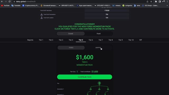 УСПЕЙ СДЕЛАТЬ 90% РАСПРЕДЕЛЕНИЕ В DAISY | АЛГОРИТМИЧЕСКИЙ ТРЕЙДИНГ | ENDOTECH АЛГОРИТМЫ