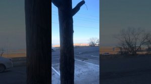 Как сделать дерево из арт бетона