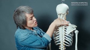 Секрет трапециевидной мышцы. Лопатка и крестец. Советы от Елены Шумиловой