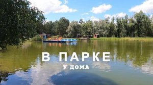 Лебеди в парке у дома. 29.07.2024г. г.Омск.