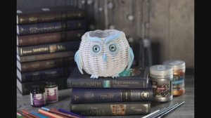 Плетеная Белая Сова Корзинка