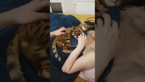 Против шерсти не любит