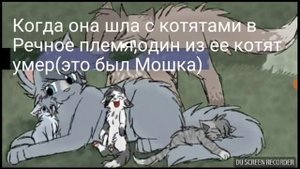 История Синей Звезды 😥