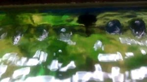 Создание течения в аквариуме для перемешивания и аэрации воды