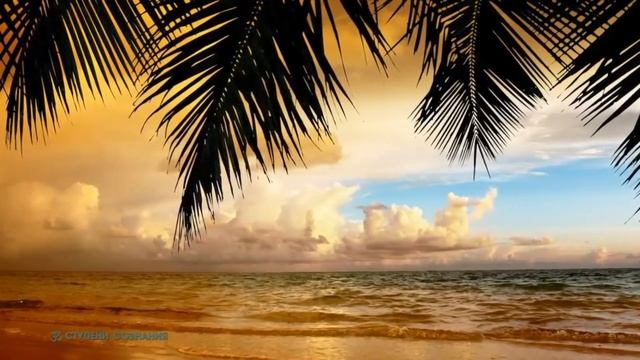 ОСОЗНАНИЕ ... глава 7 ПРИТЯЖЕНИЕ ...