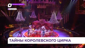 Новое грандиозное шоу Гии Эрадзе «Королевский цирк» начинается во Владивостоке
