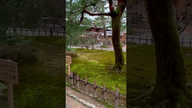 Kenrokuen Garden, Kanazawa Japan