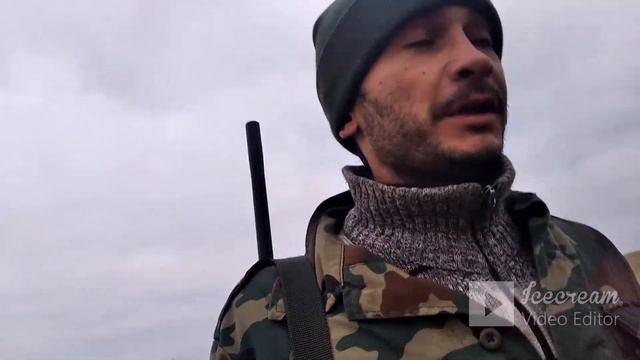 Дрессировка и воспитание щенка. Русский охотничий спаниель