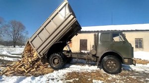 маз 5549 самосвал выгружает дрова